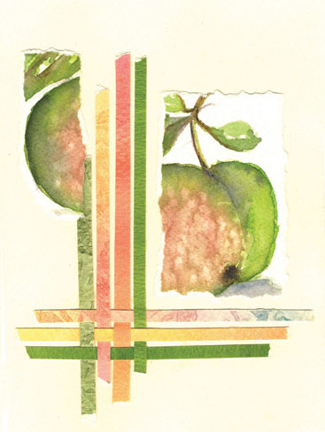 FD-Green-apple014