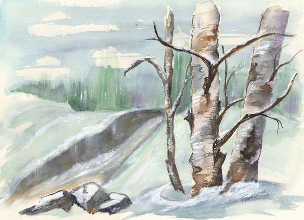 FD-Winter-birches