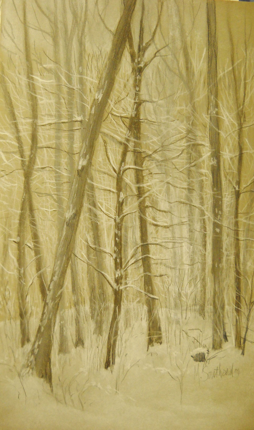 MS-Winter-Trees MS-Winter-Trees